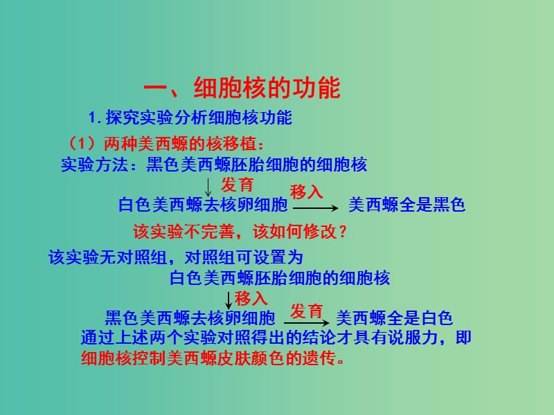 高中生物 专题3.3 细胞核-系统的控制中心课件 新人教版必修1.ppt_第2页