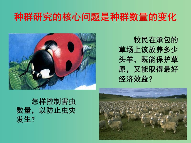 高中生物《4.1种群的特征》课件 新人教版必修3.ppt_第2页