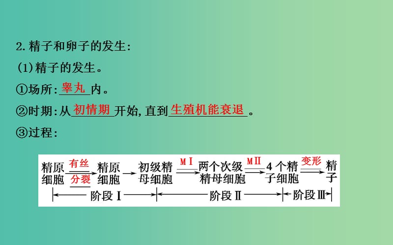 高中生物 探究导学课型 专题3 胚胎工程 3.1 体内受精和早期胚胎发育同课异构课件 新人教版选修3.ppt_第3页