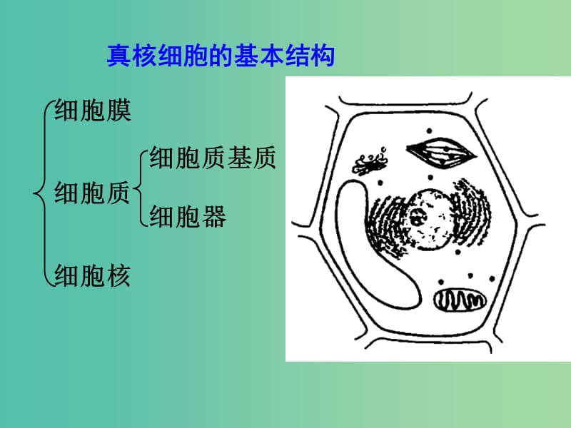 高中生物《3.2 细胞器 系统内的分工合作》课件 新人教版必修1.ppt_第2页