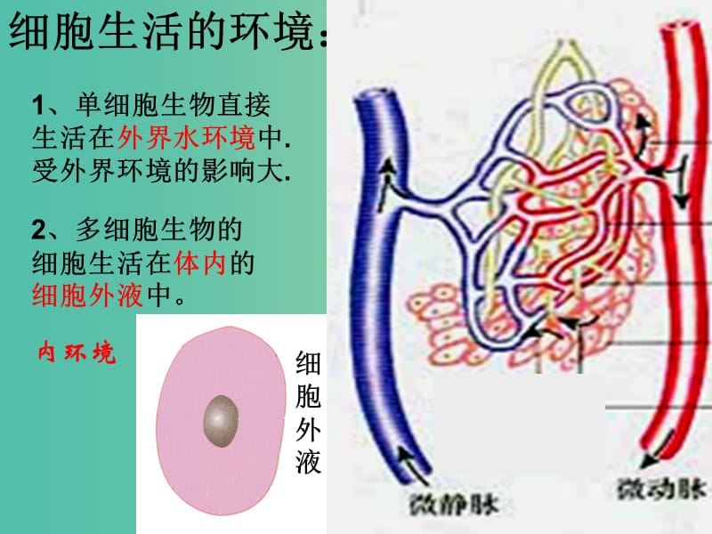 高中生物《2.1内环境与稳态》课件 新人教版必修3.ppt_第2页