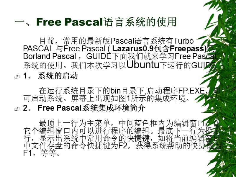 pascal运行、安装和数据类型.ppt_第2页