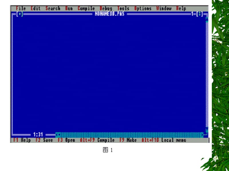 pascal运行、安装和数据类型.ppt_第3页