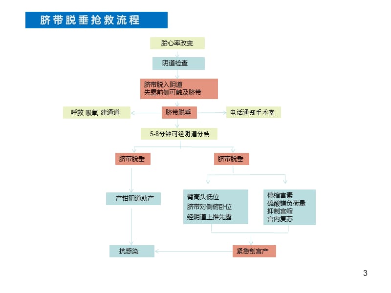 产科急危重症急救流程ppt课件_第3页