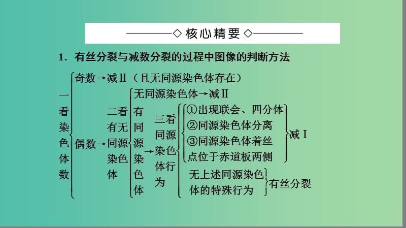 高中生物 第2章 基因和染色体的关系 第1节 细胞分裂图像的判别（Ⅱ）微专题突破课件 新人教版必修2.ppt_第2页