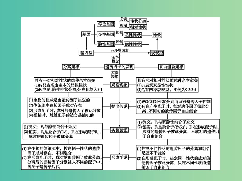 高中生物 章末整合提升1课件 新人教版必修2.ppt_第2页