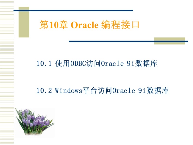 《Oracle编程接口》PPT课件.ppt_第1页
