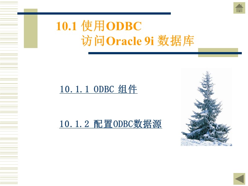 《Oracle编程接口》PPT课件.ppt_第2页