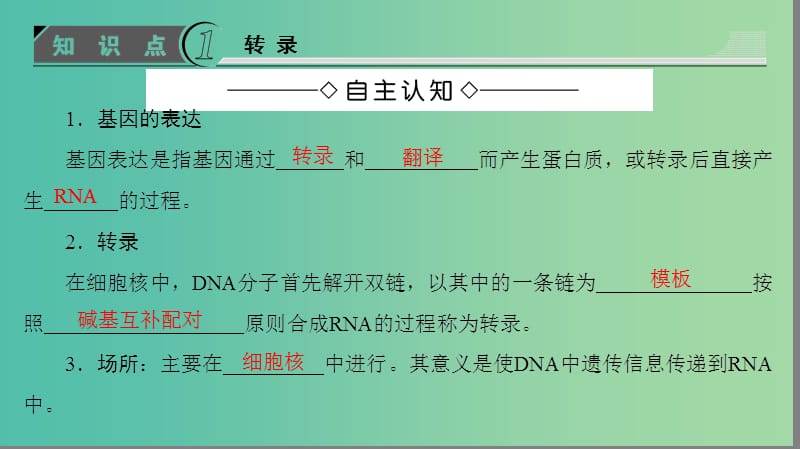 高中生物 第3单元 遗传与变异的分子基础 第2章 基因对性状的控制 第2节 基因的表达课件 中图版必修2.ppt_第3页
