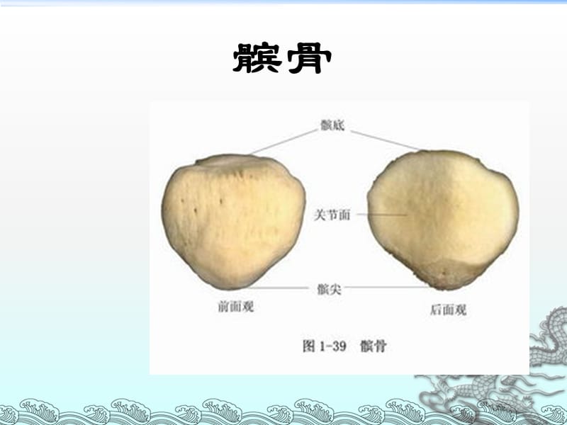 髌骨骨折的护理查房ppt课件_第3页