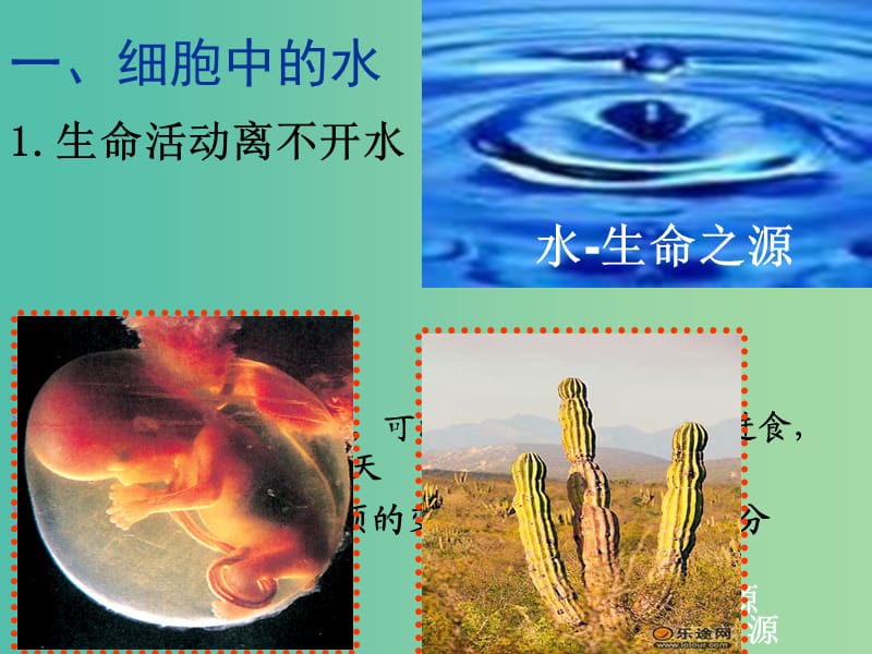 高中生物 2.5 细胞中的无机物课件2 新人教版必修1.ppt_第2页