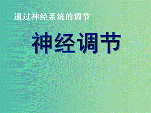 高中生物 第二章 第一節(jié) 通過神經(jīng)系統(tǒng)的調(diào)節(jié)（一）課件 新人教版必修3.ppt