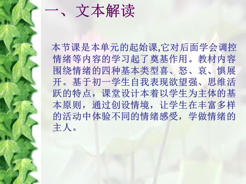 《情绪万花筒》教学方案.ppt_第2页