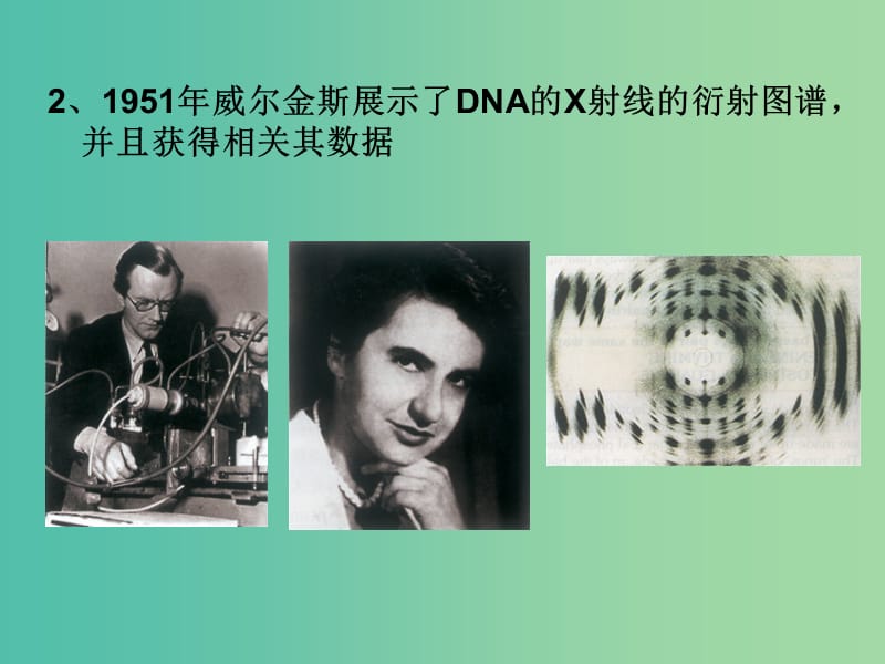 高中生物《3.2 DNA分子的结构》课件 新人教版必修2 .ppt_第3页