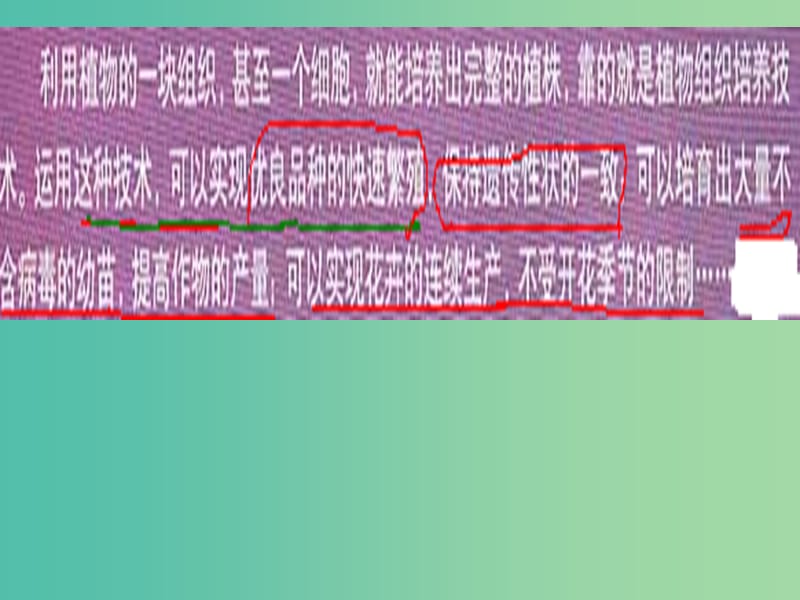 高中生物 专题3 课题1 菊花的组织培养课件 新人教版选修1.ppt_第2页