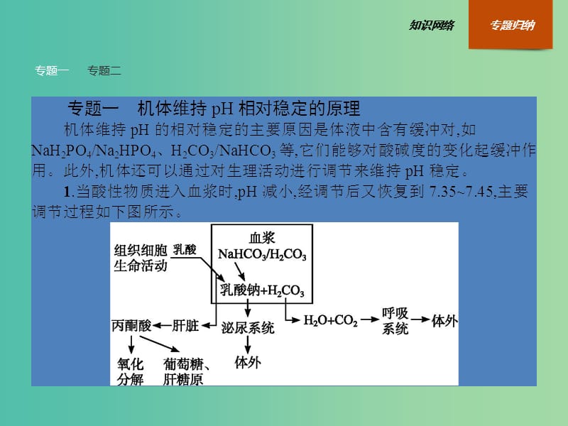 高中生物 第1章 人体的内环境与稳态整合课件 新人教版必修3.ppt_第3页