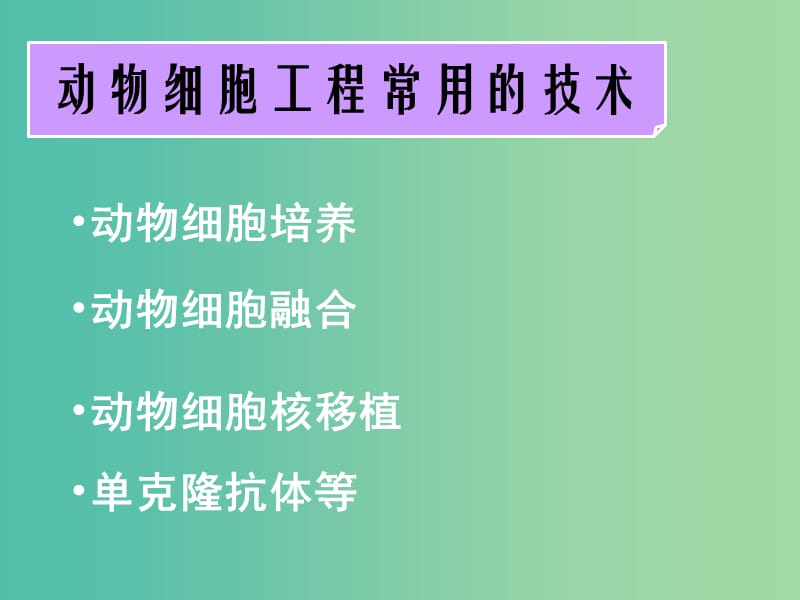 高中生物 专题二 课题2 动物细胞工程课件 新人教版选修3.ppt_第2页