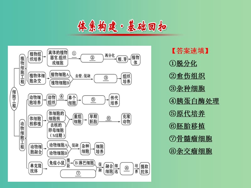 高中生物 专题2 细胞工程同课异构阶段复习课课件 新人教版选修3.ppt_第2页