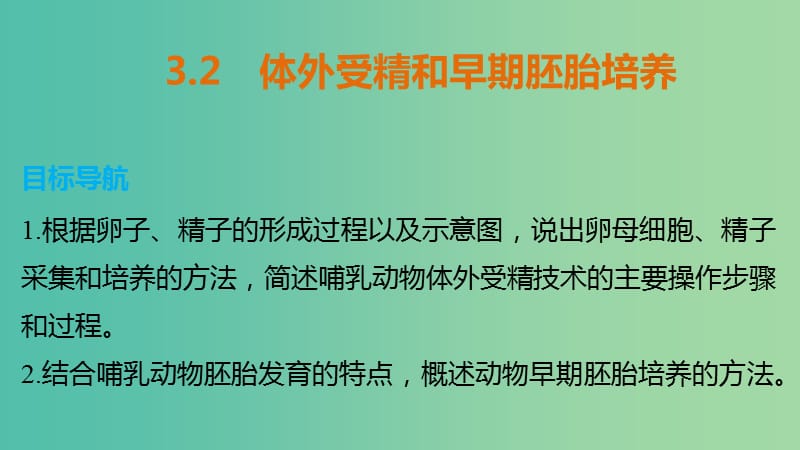 高中生物 专题三 胚胎工程 3.2 体外受精和早期胚胎培养课件 新人教版选修3.ppt_第1页