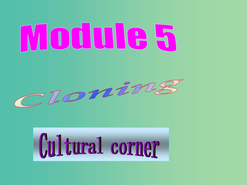 高中英语 Module5 Cultural corner课件 外研版选修6.ppt_第1页