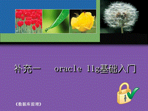 Oracle数据库入门教程.ppt