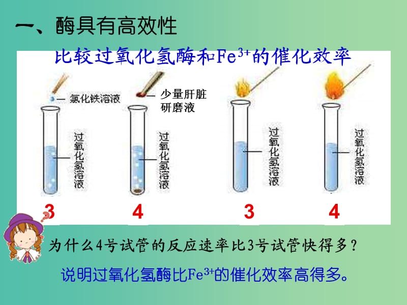 高中生物《51 新陈代谢与酶》课件 新人教版必修1.ppt_第3页