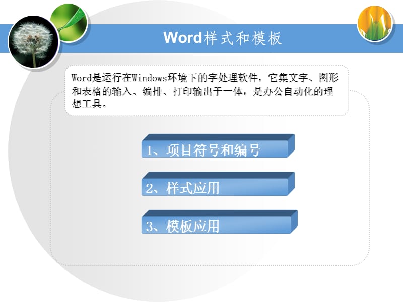 word-项目编号和样式.ppt_第2页