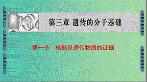 高中生物 第3章 遺傳的分子基礎(chǔ) 第1節(jié) 核酸是遺傳物質(zhì)的證據(jù)課件 浙科版必修2.ppt