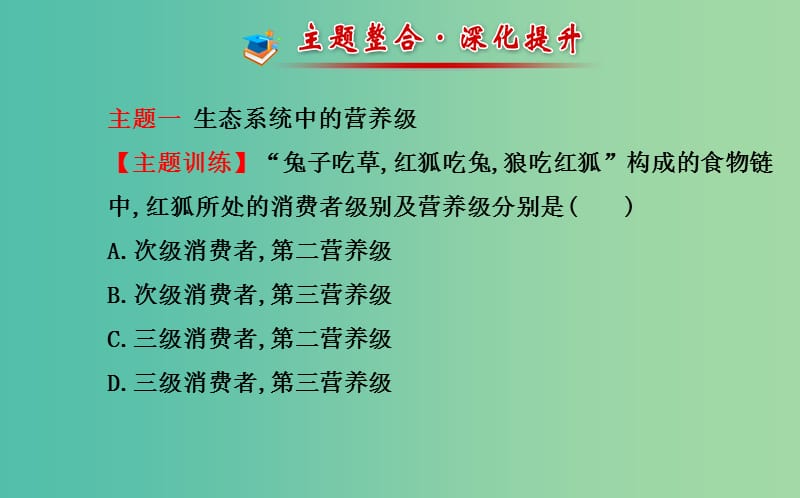 高中生物 第5章 生态系统及其稳定性复习课课件 新人教版必修3.ppt_第3页