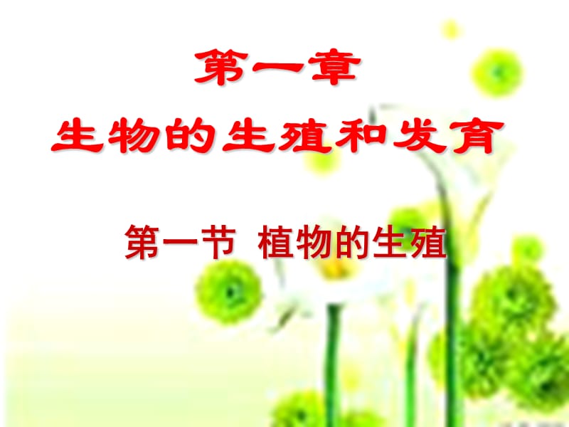 《植物的生殖》PPT課件.ppt_第1頁