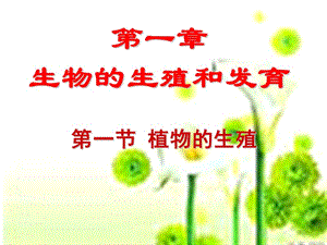 《植物的生殖》PPT課件.ppt