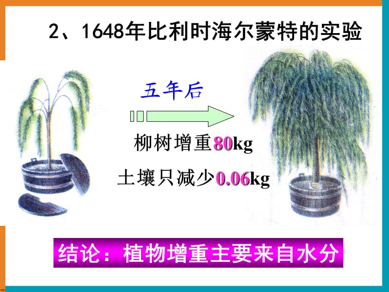 高中高中生物 5.4 能量之源 光与光合作用课件 新人教版必修1.ppt_第3页