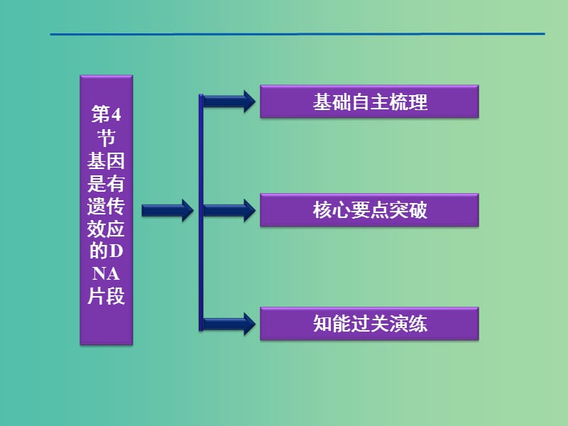 高中生物《3.4 基因是有遗传效应的DNA片段》课件 新人教版必修2 .ppt_第3页