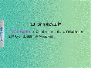 高中生物 1.3 城市生態(tài)工程課件 北師大版選修3.ppt