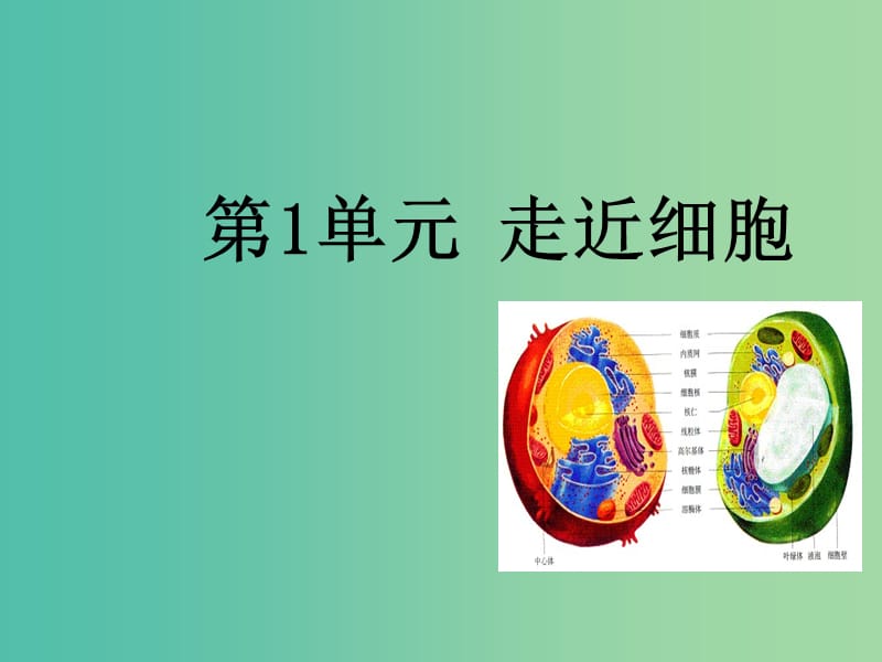 高中生物 第1章 走近细胞课件 新人教版必修1.ppt_第1页