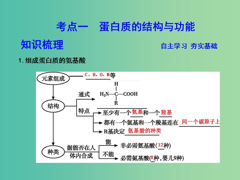 高中生物第一单元走近细胞和组成细胞的分子第3讲生命活动的主要承担者-蛋白质课件.ppt_第3页