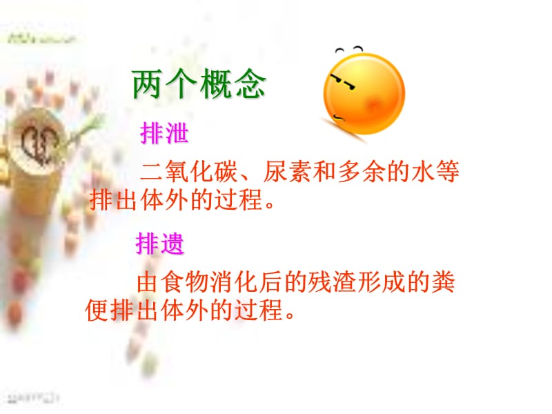 《尿的形成和排出》PPT课件.ppt_第3页