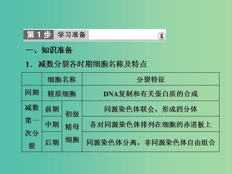 高中生物第二章基因和染色体的关系第1节减数分裂和受精作用第2课时课件新人教版.ppt_第2页