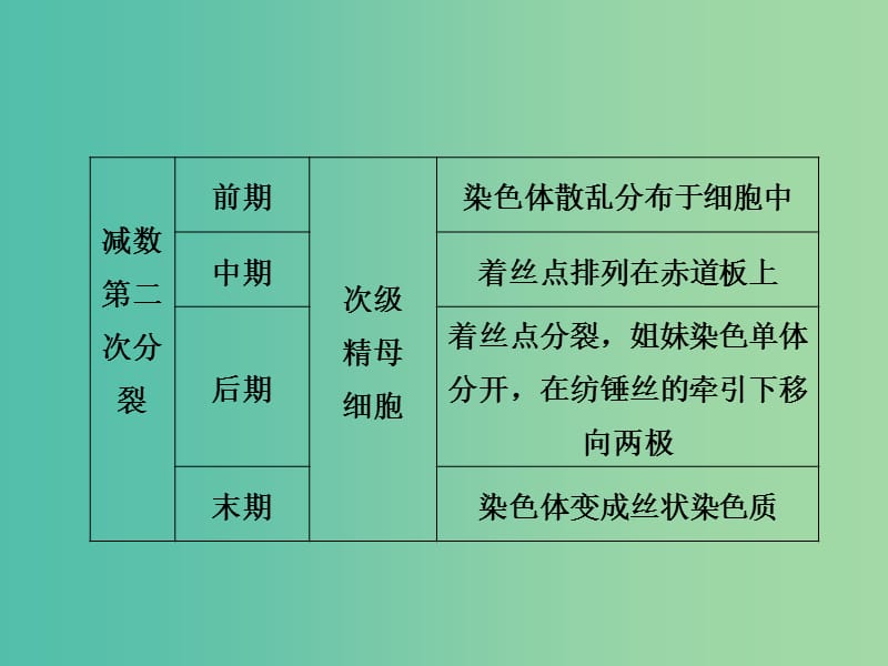 高中生物第二章基因和染色体的关系第1节减数分裂和受精作用第2课时课件新人教版.ppt_第3页