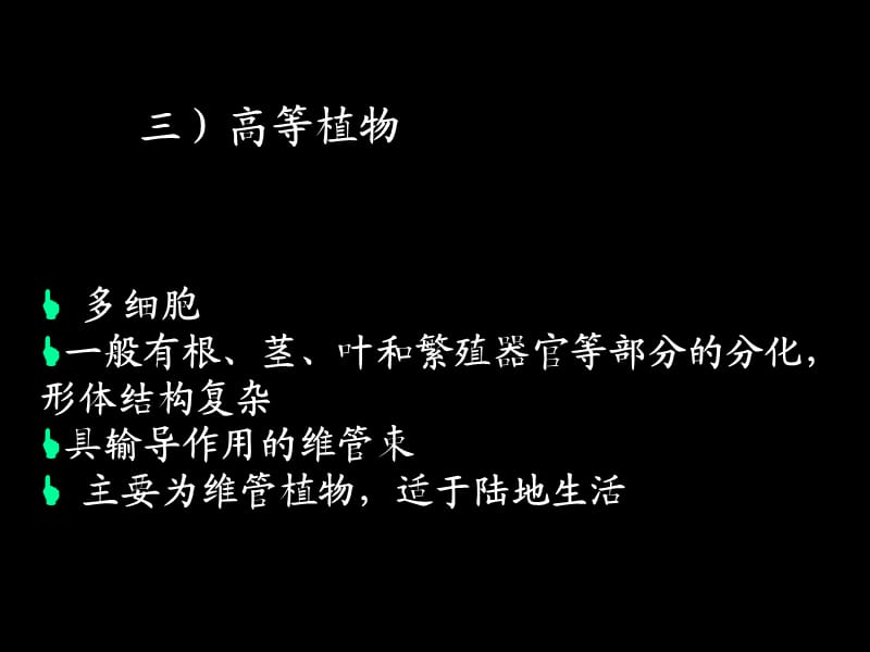 2012-4古生物高等植物.ppt_第2页