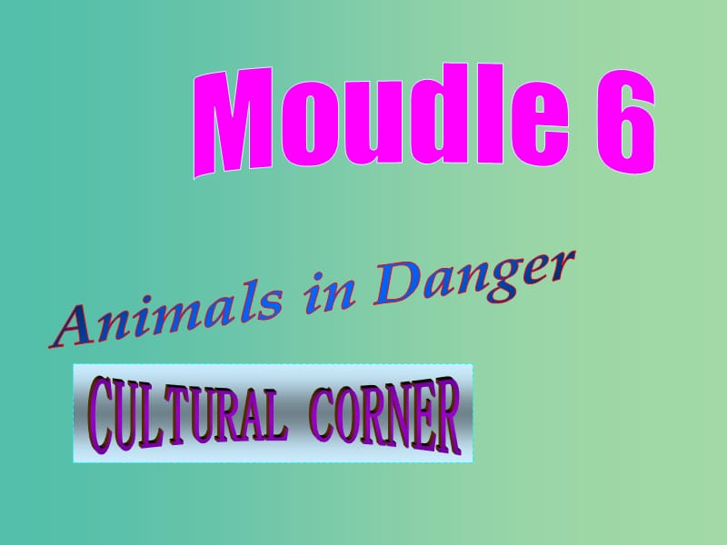 高中英语 Module6 cultural corner课件 外研版必修5.ppt_第1页