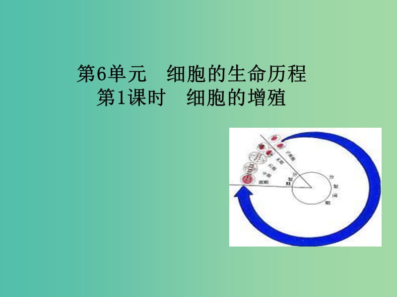 高中生物 第6章 第1节 细胞的增殖课件 新人教版必修1.ppt_第1页