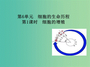 高中生物 第6章 第1節(jié) 細(xì)胞的增殖課件 新人教版必修1.ppt