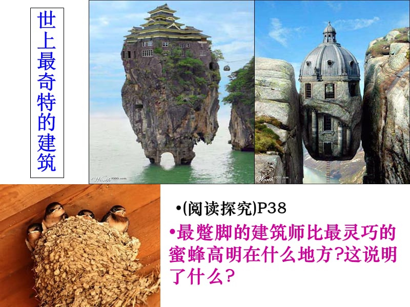 《意识的作用》PPT课件.ppt_第2页