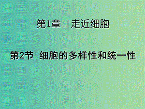 高中生物 1.2 細(xì)胞的多樣性和統(tǒng)一性課件 新人教版必修1.ppt