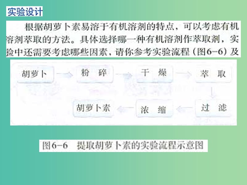 高中生物 专题6 课题2 胡萝卜素的提取课件 新人教版选修1.ppt_第3页