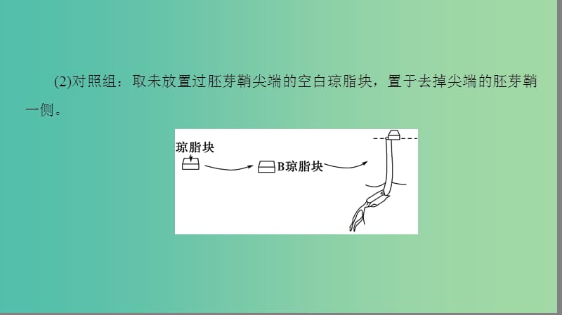 高中生物 第3章 植物的激素调节 第3节 与生长素有关的实验微专题突破课件 新人教版必修3.ppt_第3页