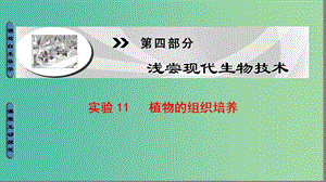 高中生物 第4部分 淺嘗現(xiàn)代生物技術(shù) 實驗11 植物的組織培養(yǎng)課件 浙科版選修1.ppt