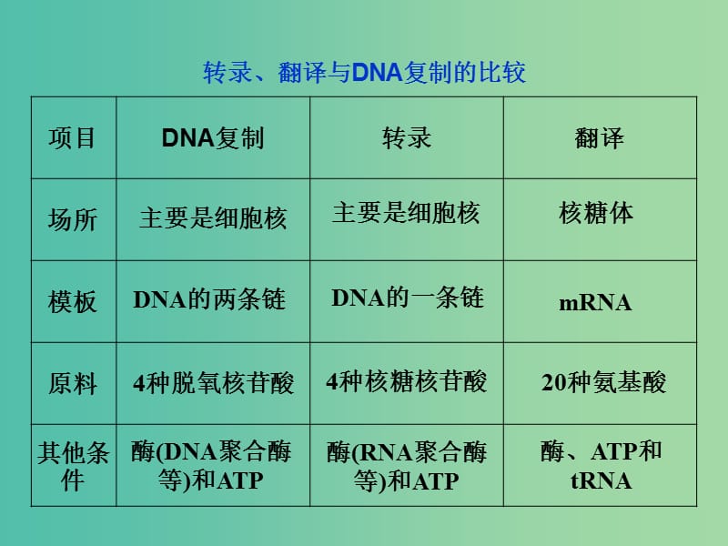 高中生物 第四章 基因的表达 微专题讲座3 有关转录、翻译与DNA复制的分析课件 新人教版必修2.ppt_第3页