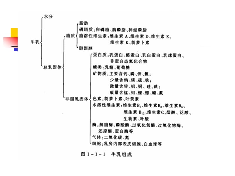 《乳的成分和性质》PPT课件.ppt_第3页